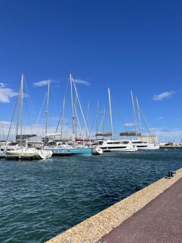 Le Petit Paradis Canet Plage avril 2023 - Le port