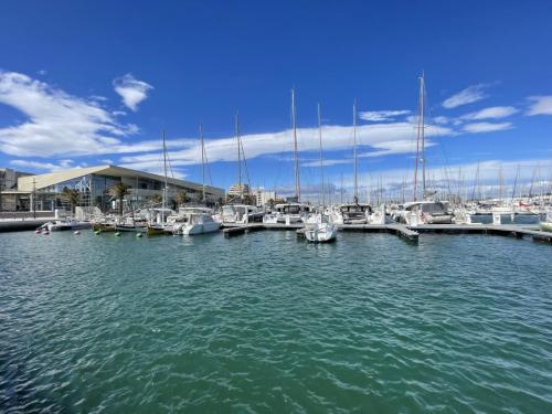 Le Petit Paradis Canet Plage avril 2023 - Le port