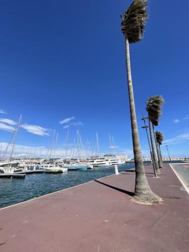 Le Petit Paradis Canet Plage avril 2023 - Le port