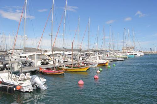 Le Petit Paradis Canet Plage avril 2023 - Le port